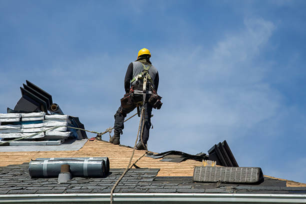 Professional Roof Replacement technician working in Wellborn, FL